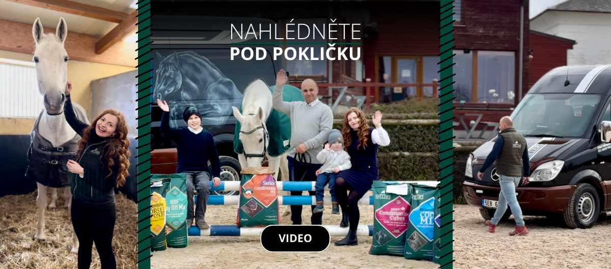 video naše