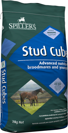 Stud Cubes 20kg